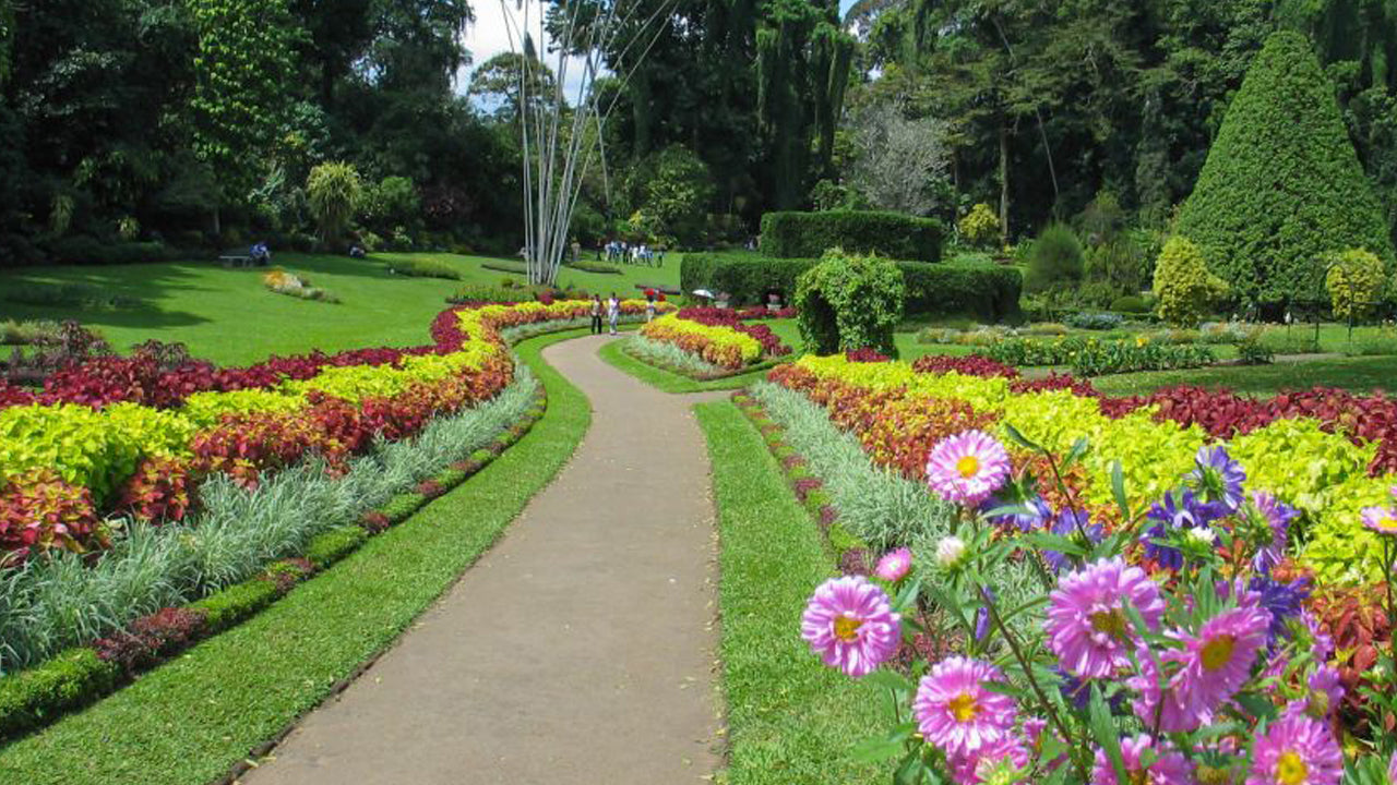 Excursion à Pinnawala et Kandy au départ de Colombo