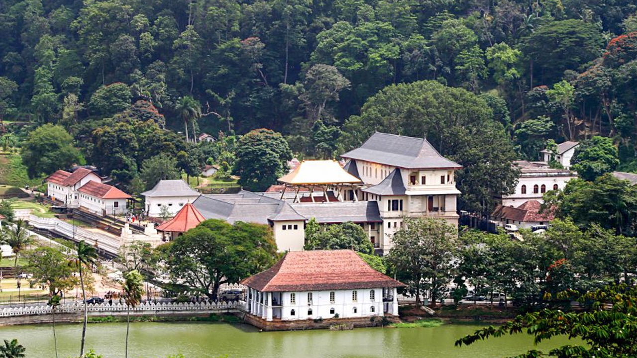 Excursion à Pinnawala et Kandy au départ de Colombo