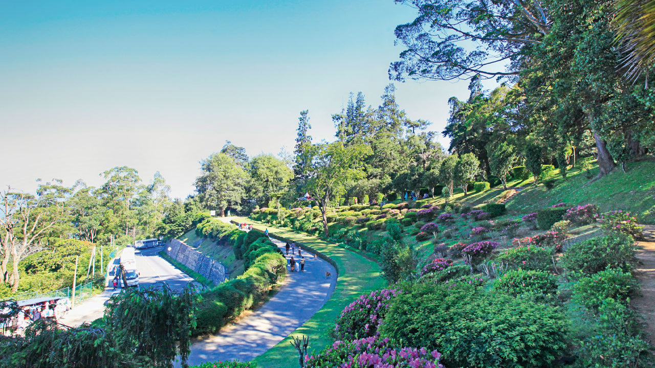 Excursion à Pinnawala et Kandy au départ de Colombo