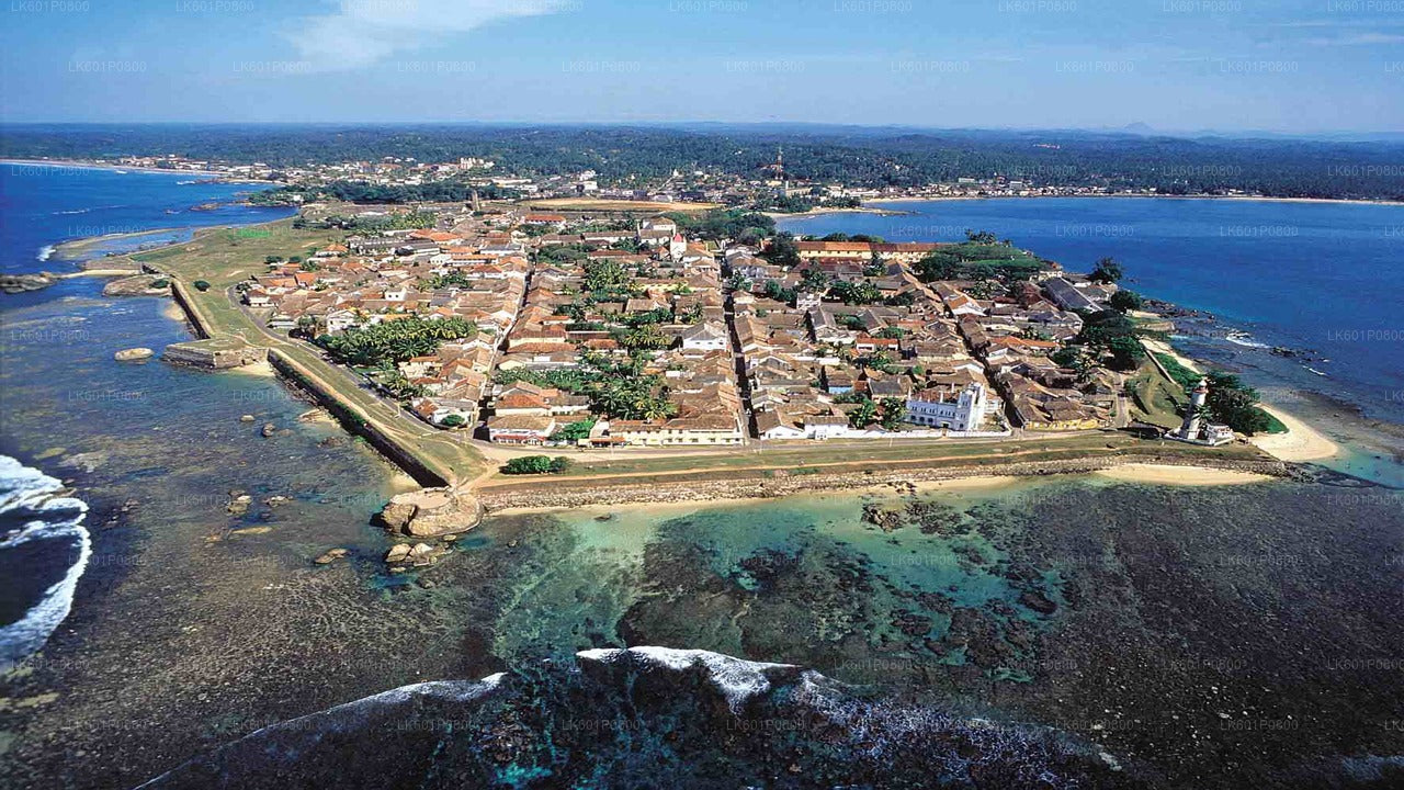 Points forts de la côte sud depuis Negombo