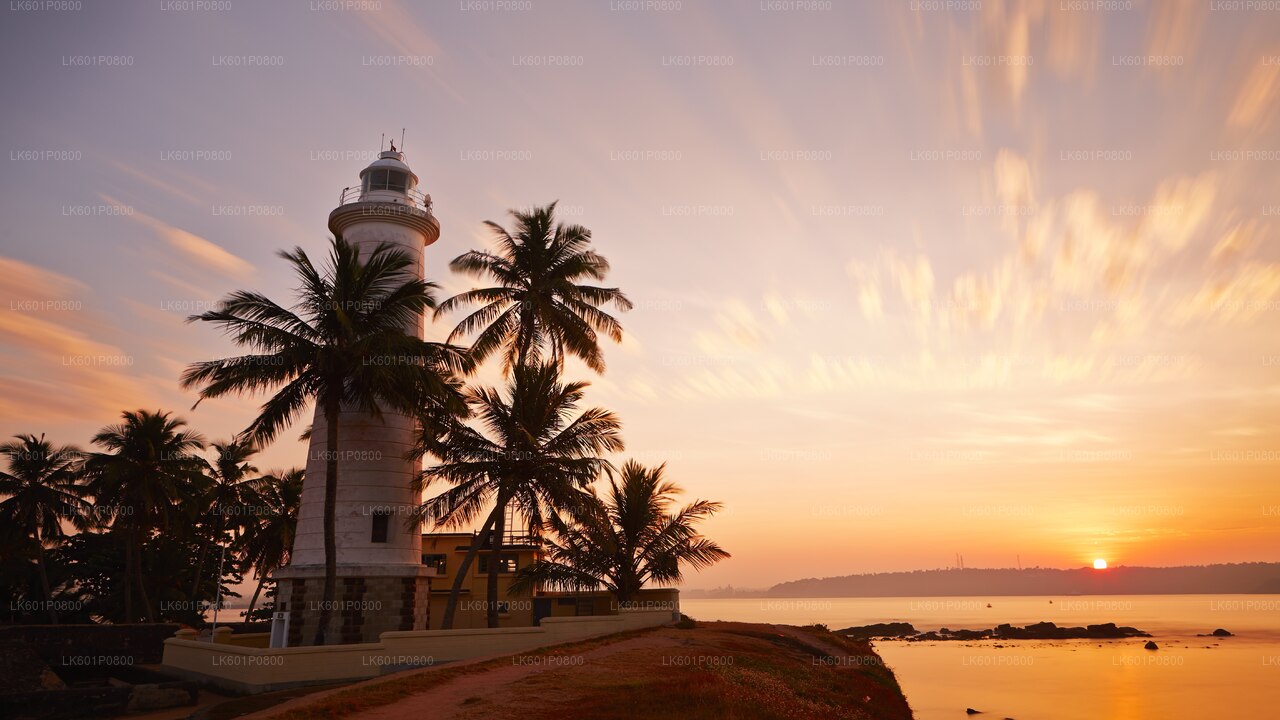 Points forts de la côte sud depuis Negombo