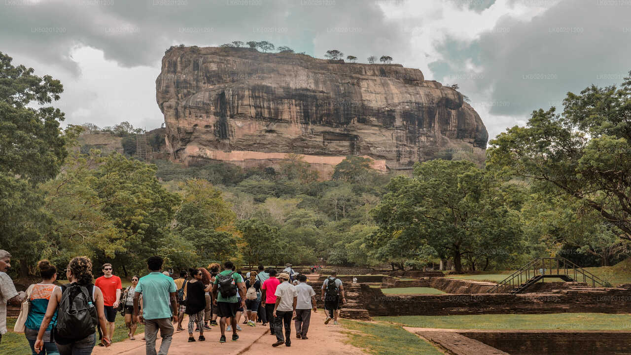 Safari au rocher de Sigiriya et à dos d'éléphant sauvage au départ de Sigiriya