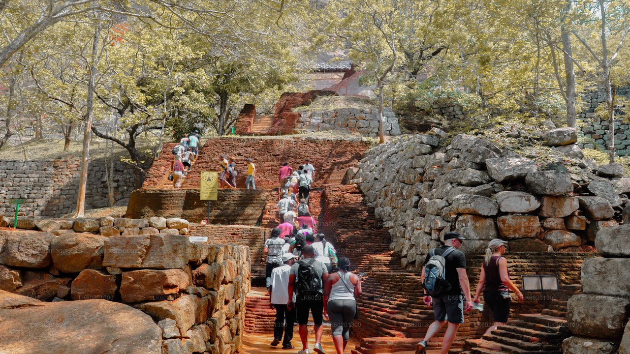 Visite du rocher et du village de Sigiriya au départ de Sigiriya