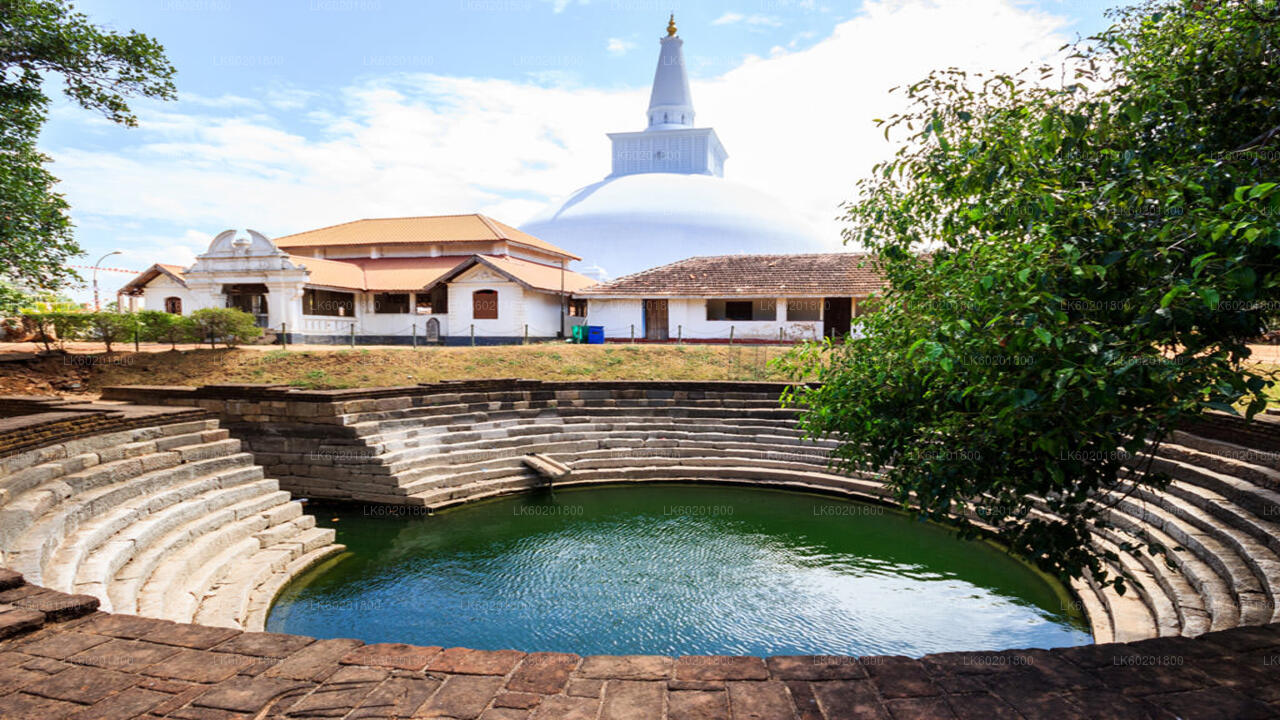 Anuradhapura Buddhist Icons Tour from Kalpitiya