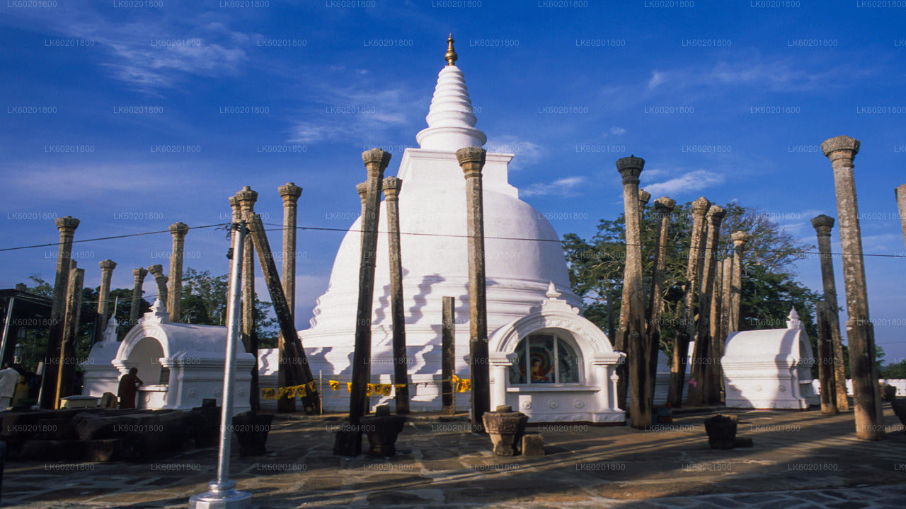 Anuradhapura Buddhist Icons Tour from Kalpitiya