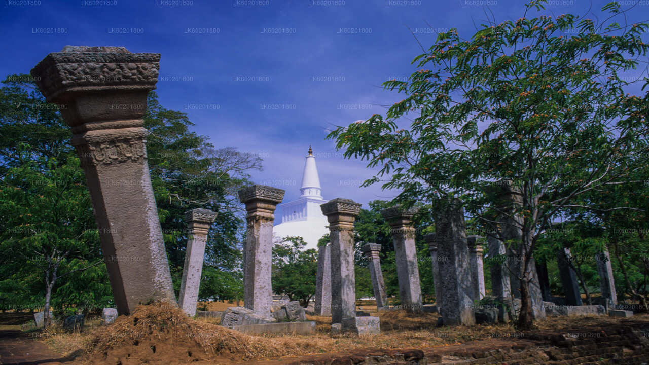 Anuradhapura Buddhist Icons Tour from Kalpitiya