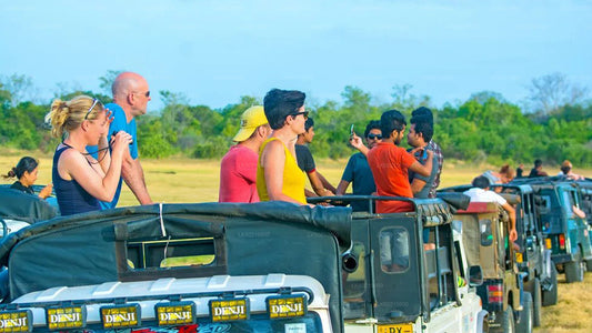 Safari dans le parc national de Bundala depuis Tangalle