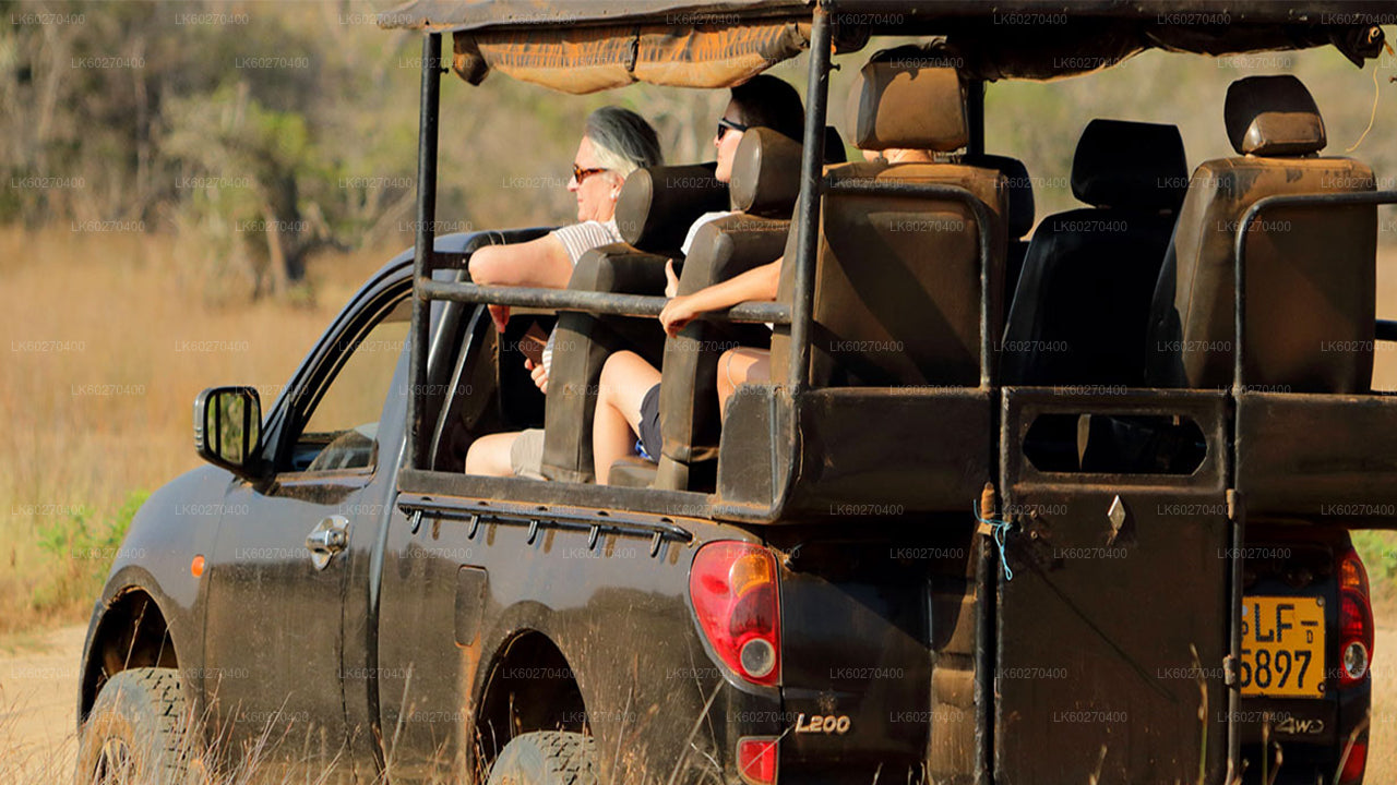 Safari dans le parc national d'Udawalawe au départ de Dikwella