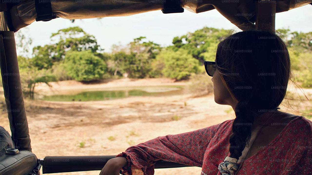 Safari dans le parc national de Yala au départ de Tangalle