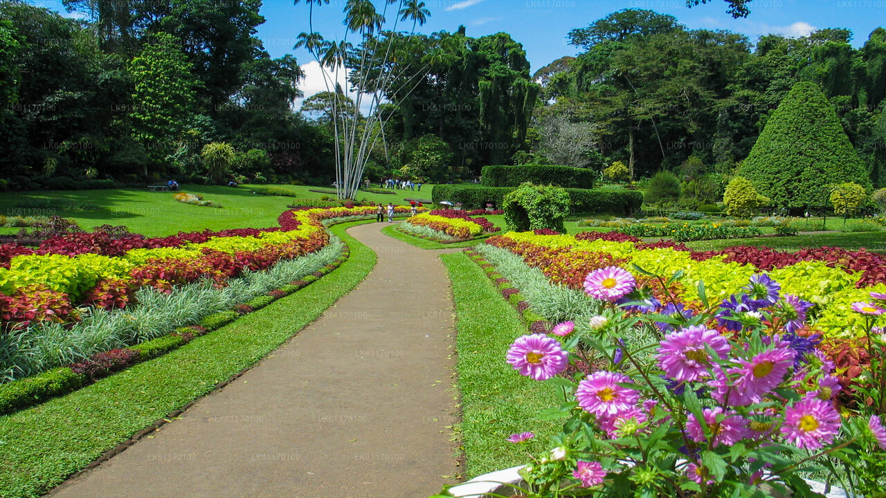 Visite de la ville de Kandy