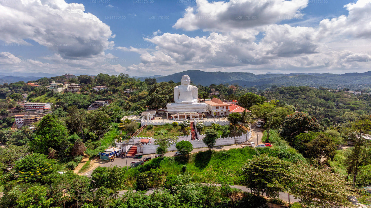 Visite de la ville de Kandy