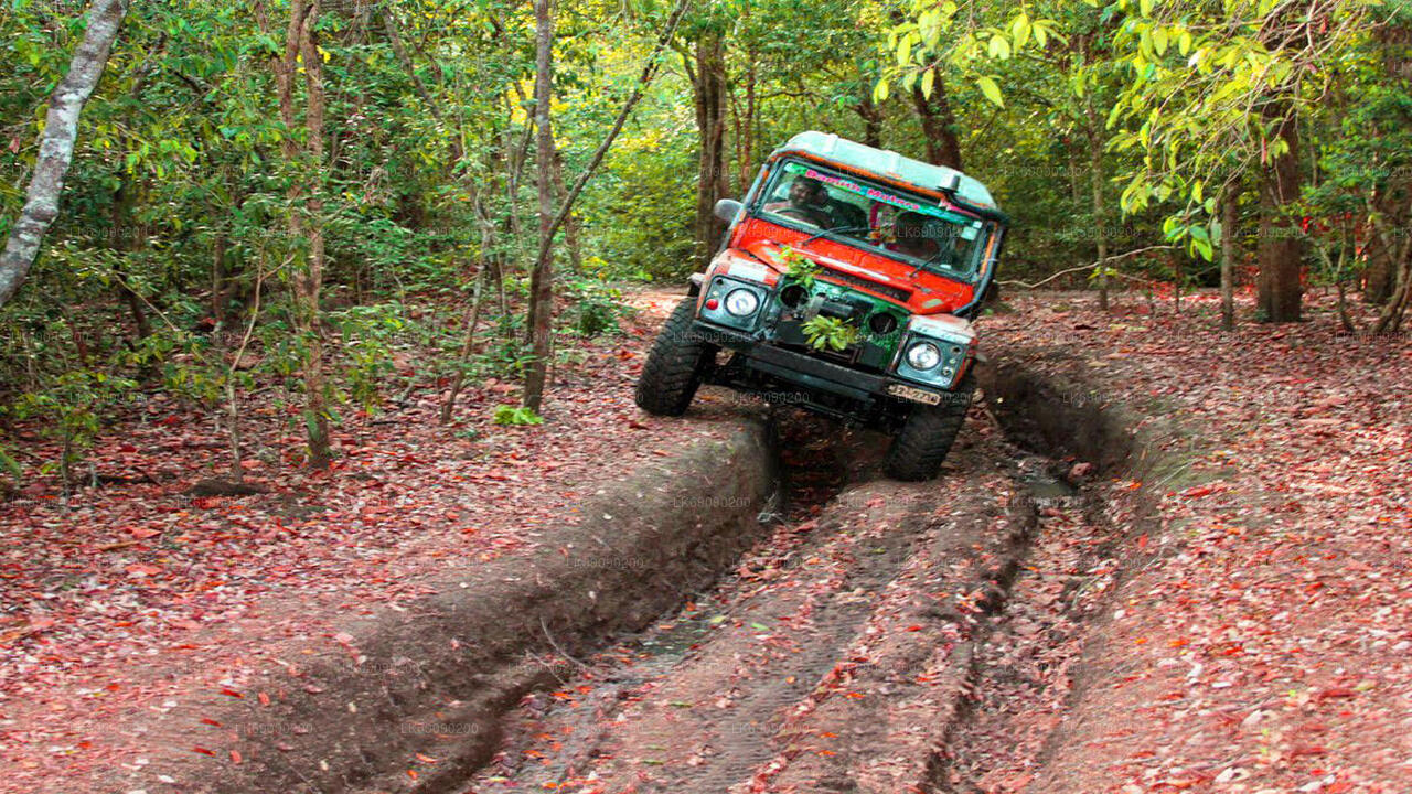 4WD Tour to Ella's Archaeological Sites from Ella