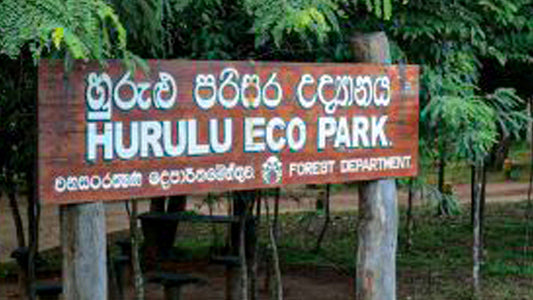 Billets d'entrée au parc écologique Hurulu