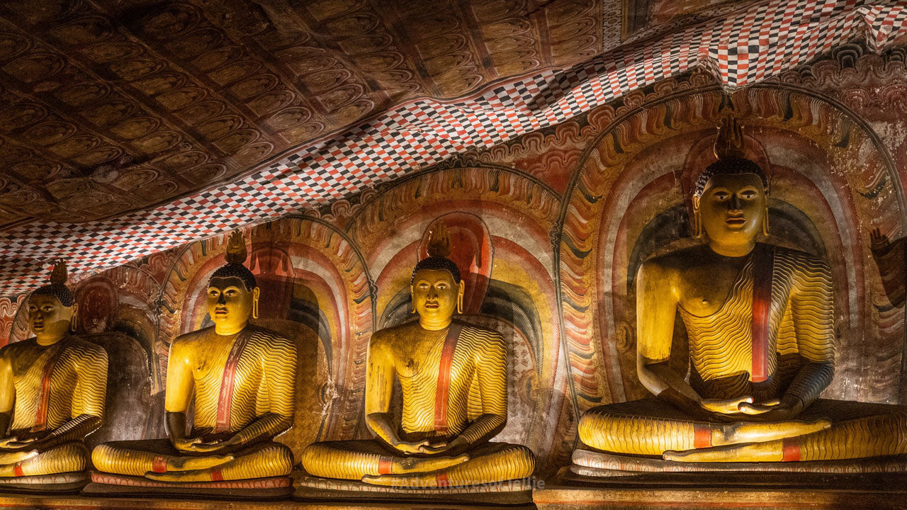 Billets d'entrée au temple de la grotte de Dambulla