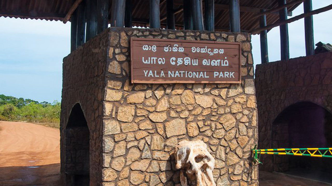 Billet d'entrée au parc national de Yala