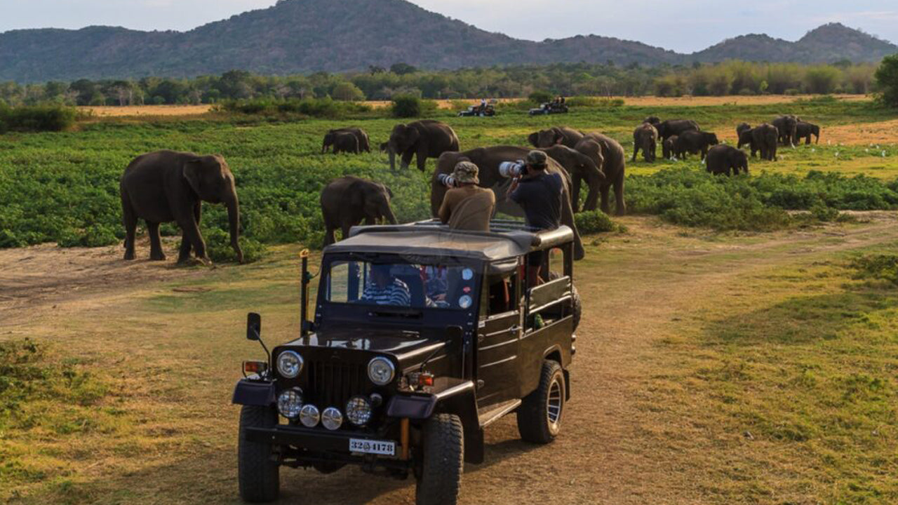 Billet d'entrée au parc national de Yala