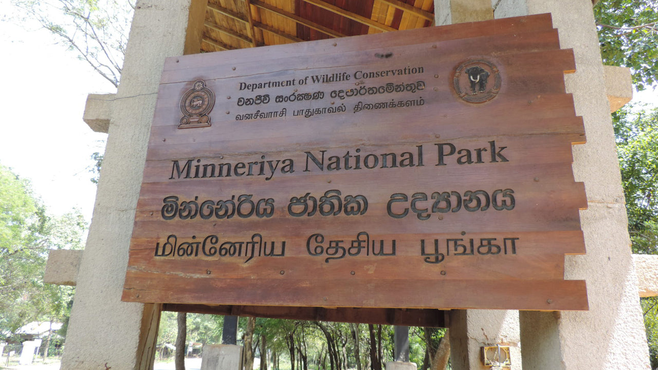 Billet d'entrée au parc national de Minneriya