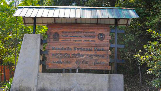 Billets d'entrée au parc national de Kaudulla