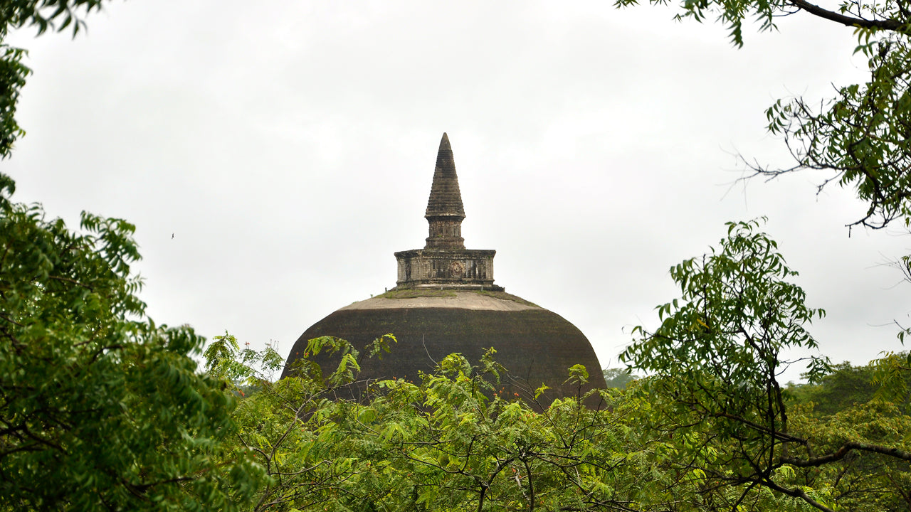 Billets d'entrée à la vieille ville de Polonnaruwa