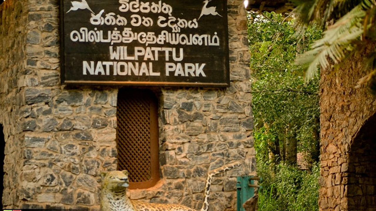 Billets d'entrée au parc national de Wilpattu