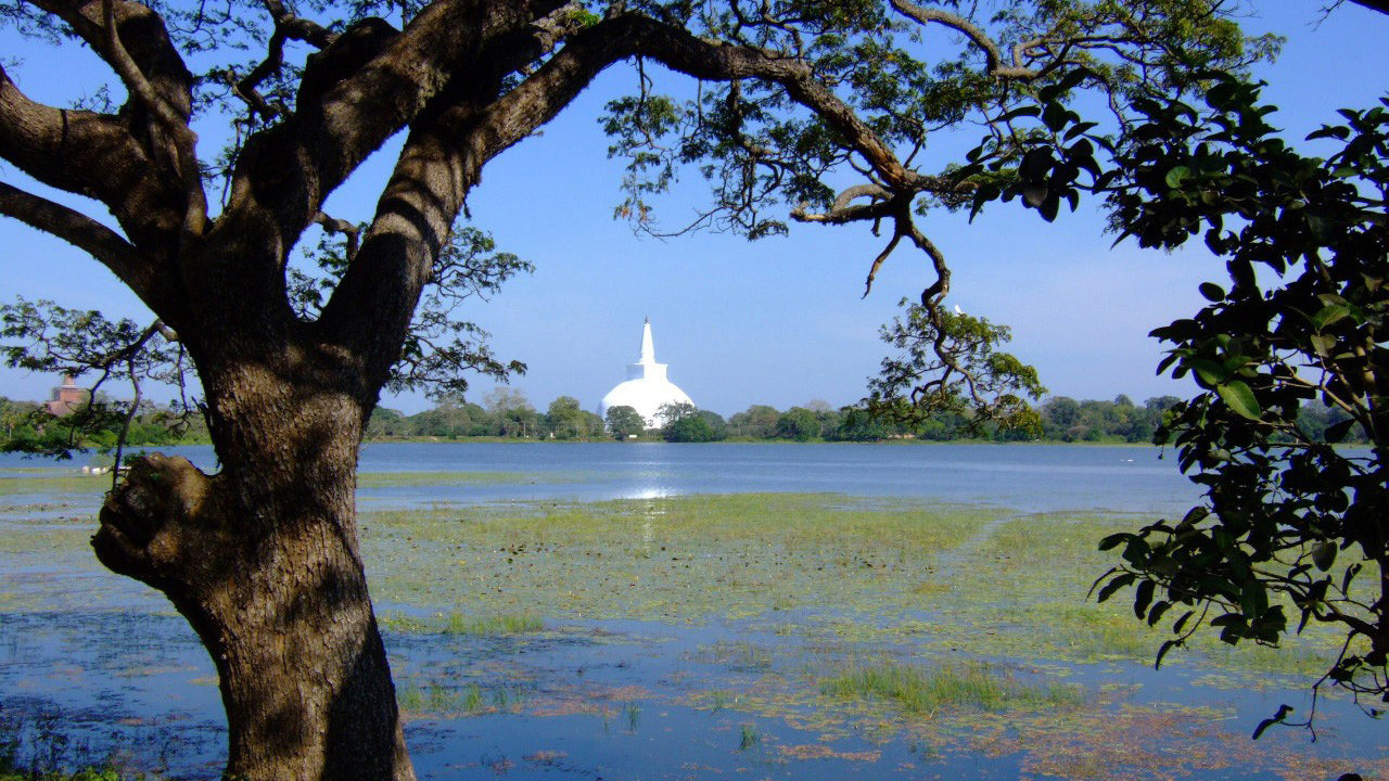 Billet d'entrée à la zone sacrée d'Anuradhapura