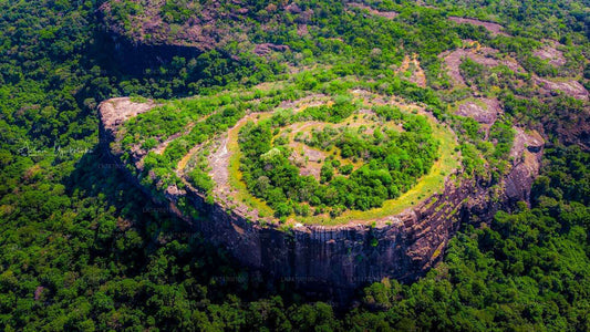 Randonnée jusqu'au rocher circulaire de Danigala depuis Aaralaganwila