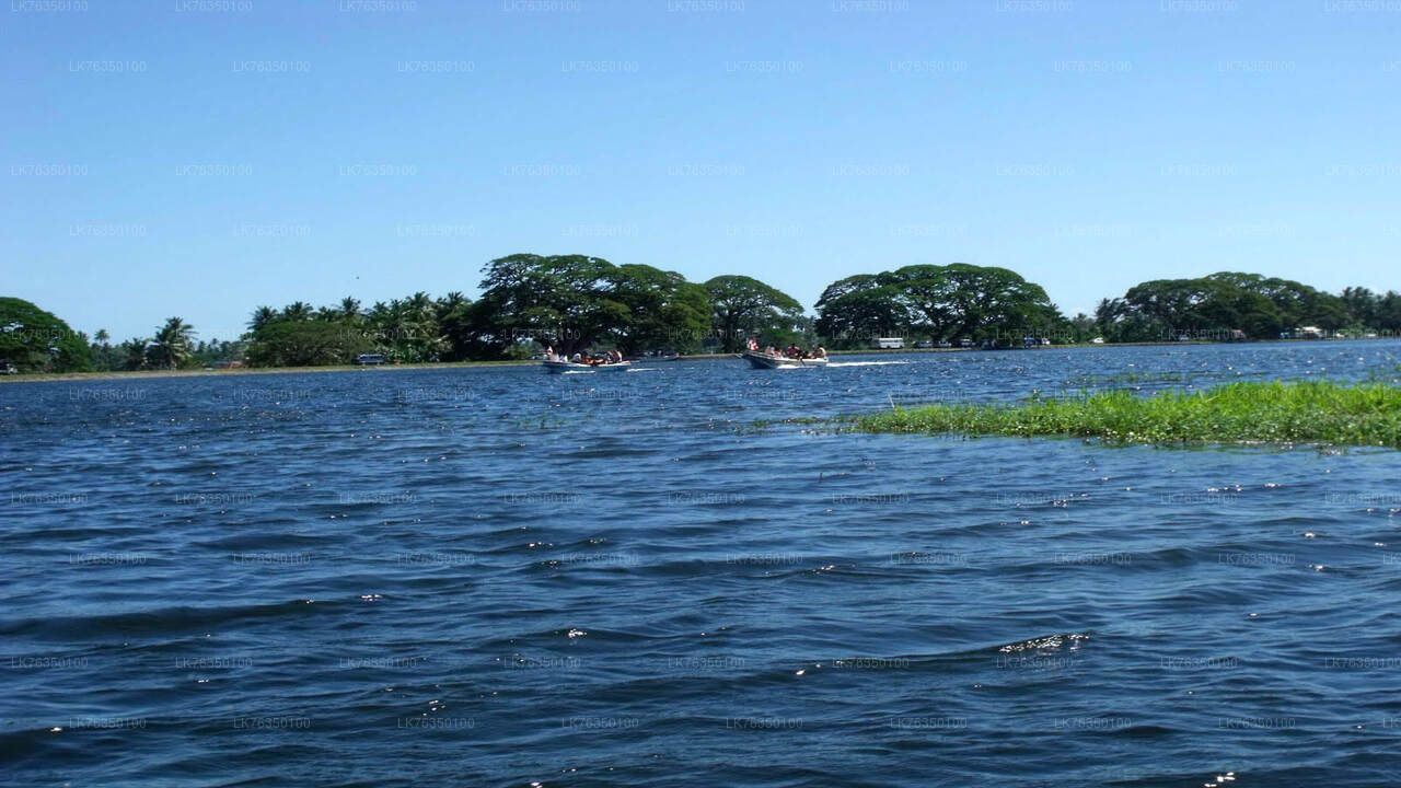 Promenade en bateau sur le lac Tissamaharama