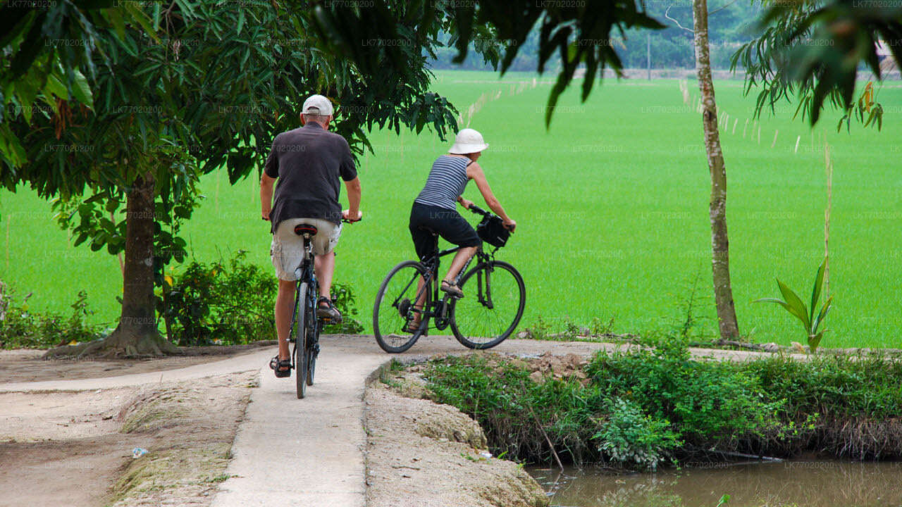 Visite à vélo du champ de bataille de Balana au départ de Kandy