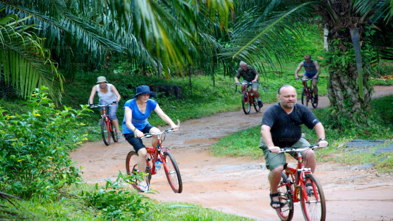 Excursion à vélo de 3 temples Loop au départ de Kandy