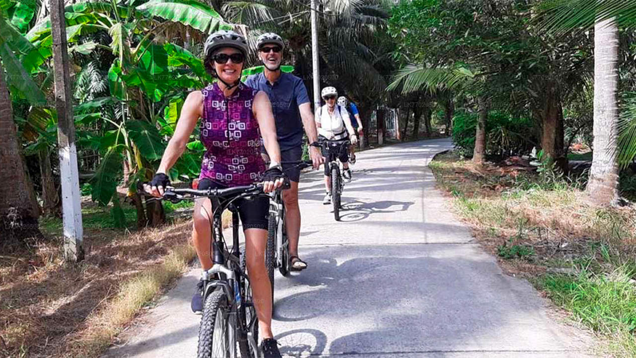 Excursion à vélo de 3 temples Loop au départ de Kandy