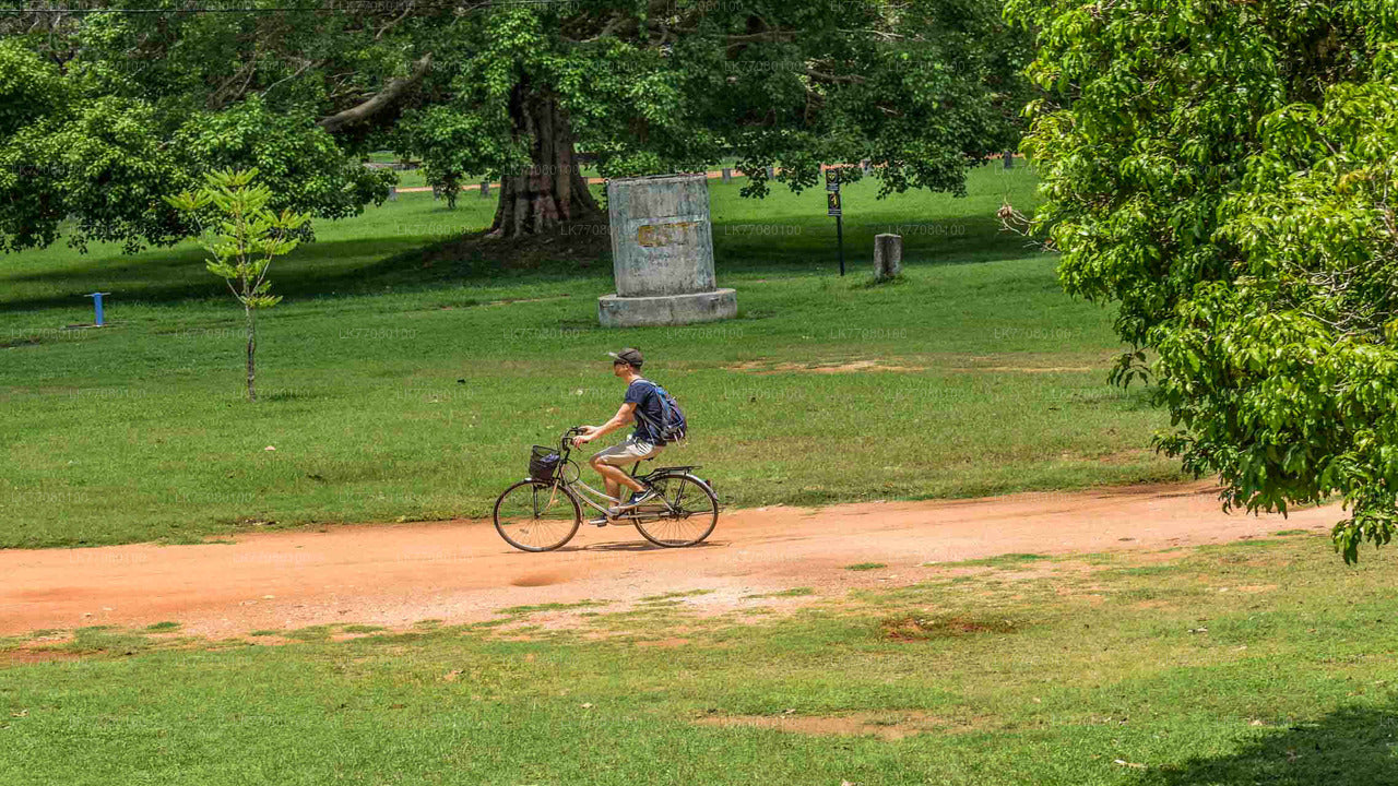 À vélo depuis Mirissa