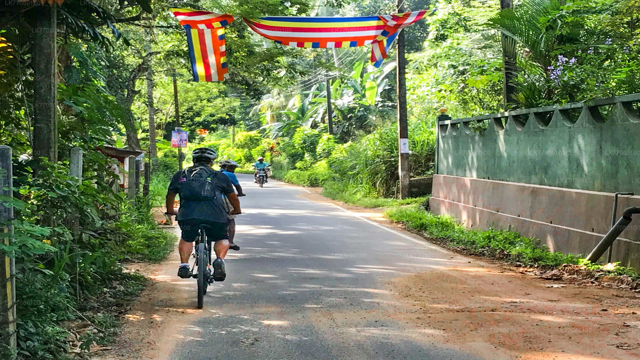 À vélo depuis Mirissa