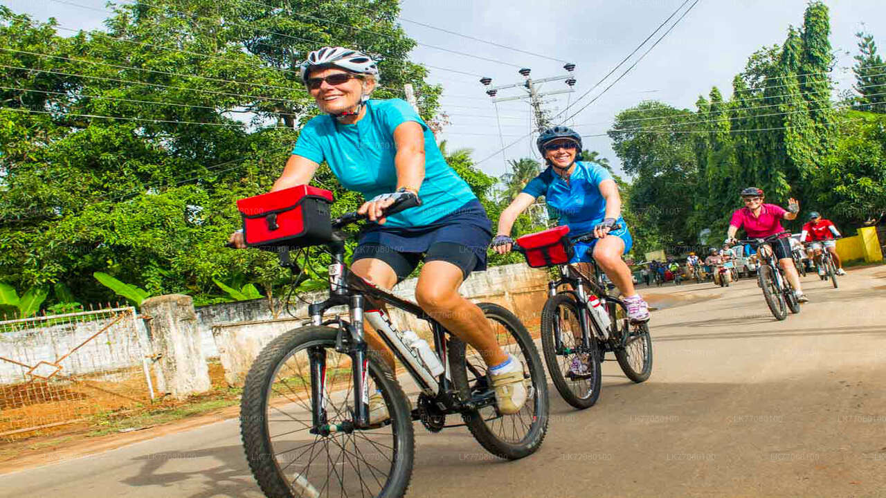 À vélo depuis Mirissa