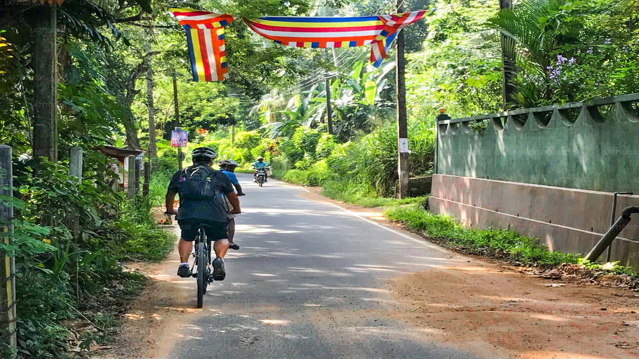 Cycling from Kitulgala