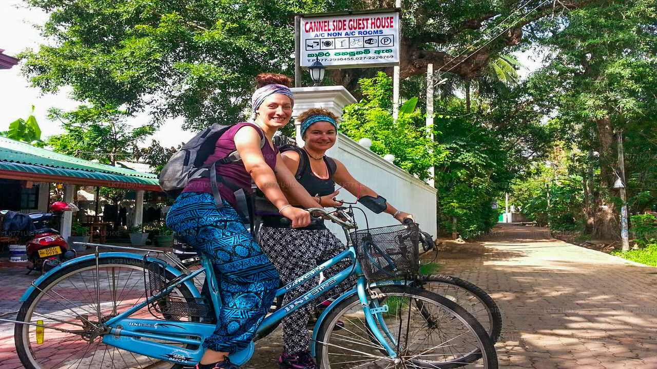Parcourez les ruines anciennes à vélo depuis Polonnaruwa