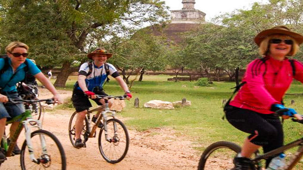 Parcourez les ruines anciennes à vélo depuis Polonnaruwa