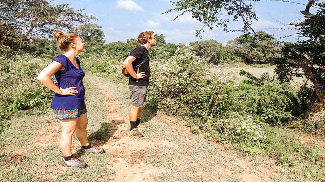 Padavigampola Village Cycling Tour with Cooking Demonstration from Pinnawala