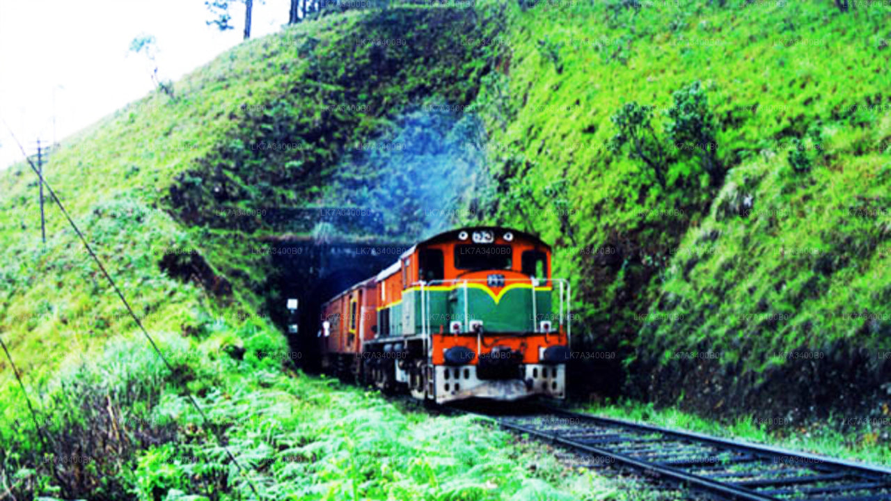 Trajet en train de Kandy à Nanu Oya (train n° : 1015 « Udarata Menike »)