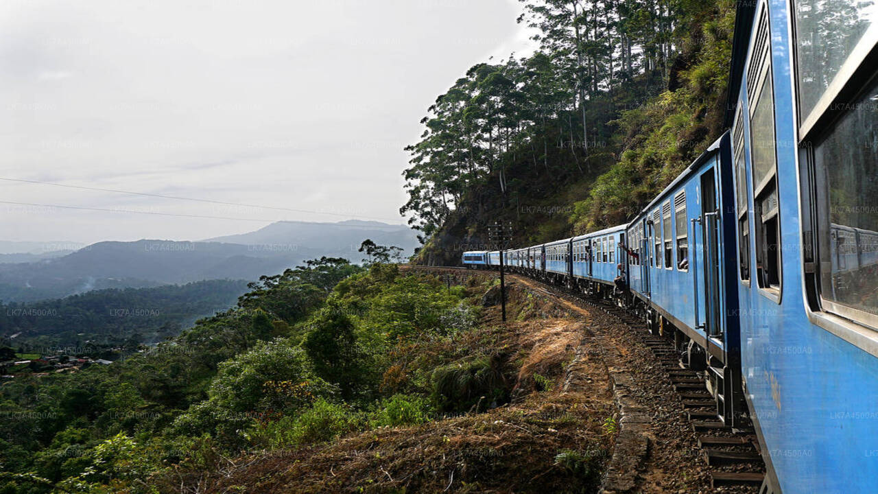 Trajet en train de Nanu Oya à Ella (train n° : 1005 « Podi Menike »)