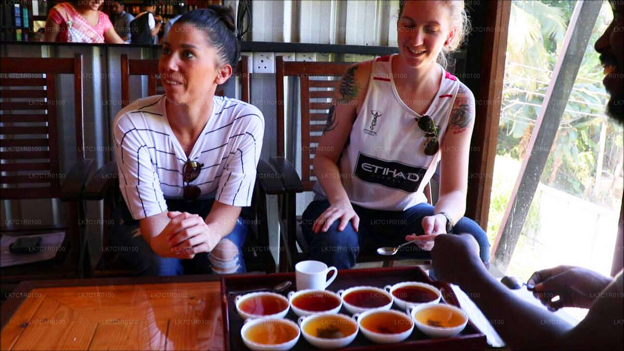 Dégustation de thé de Ceylan de Nuwara Eliya