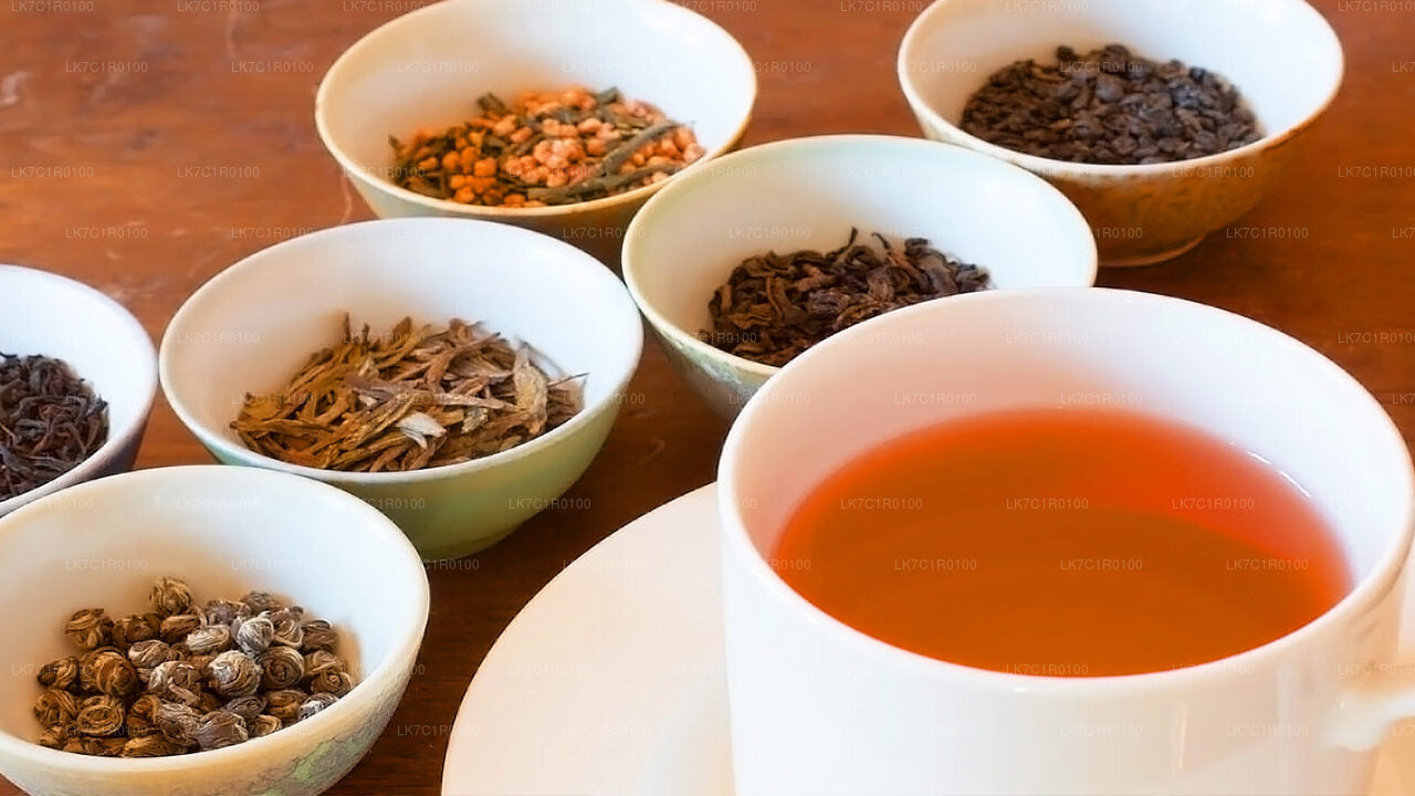Dégustation de thé de Ceylan de Nuwara Eliya