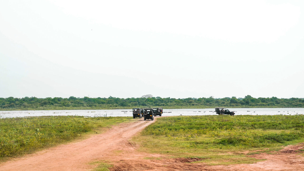 Safari dans le parc national d'Udawalawe depuis le port de Hambantota