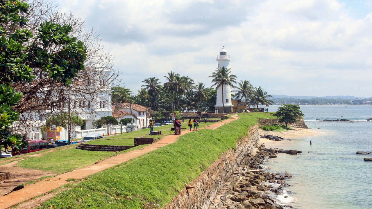 Points forts de la côte sud depuis le port de Colombo