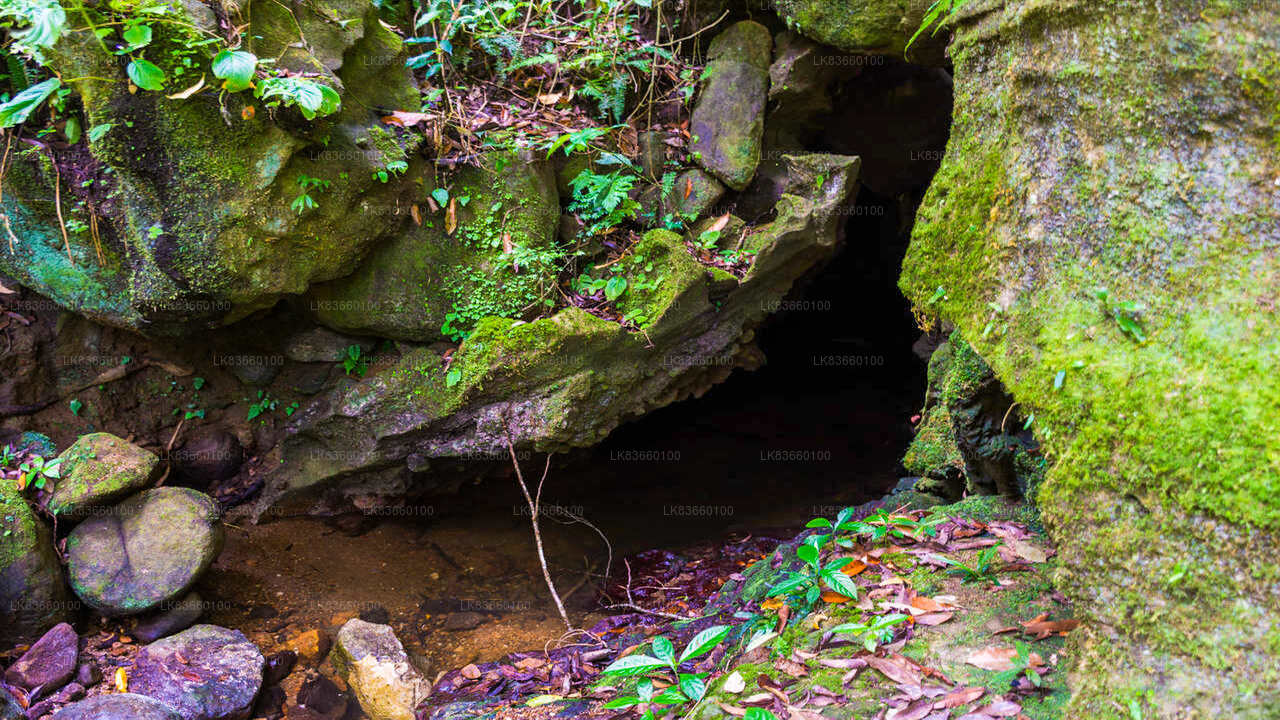 Explorez la grotte de Pannila depuis le mont Lavinia