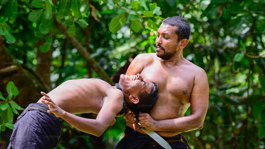 Spectacle d'arts martiaux d'Angampora au départ de Colombo