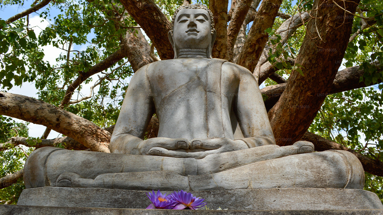 Expérience spirituelle d'Anuradhapura