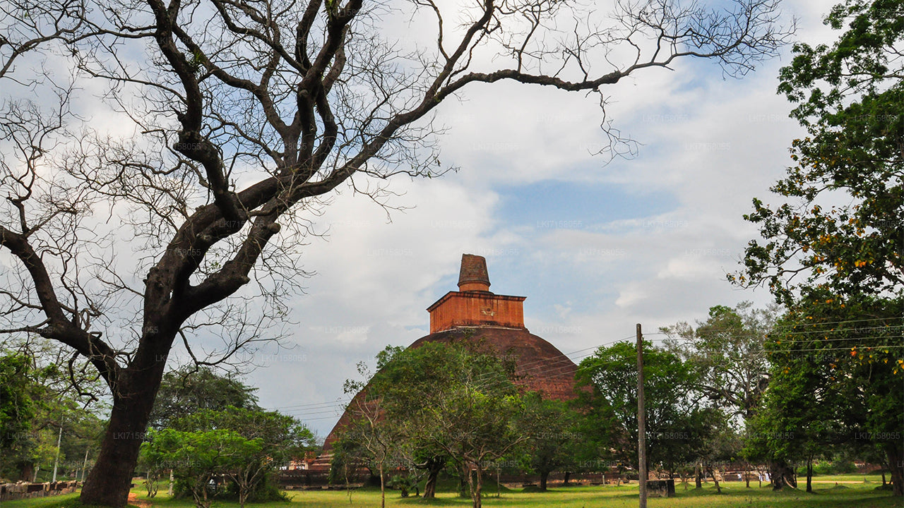 Expérience spirituelle d'Anuradhapura