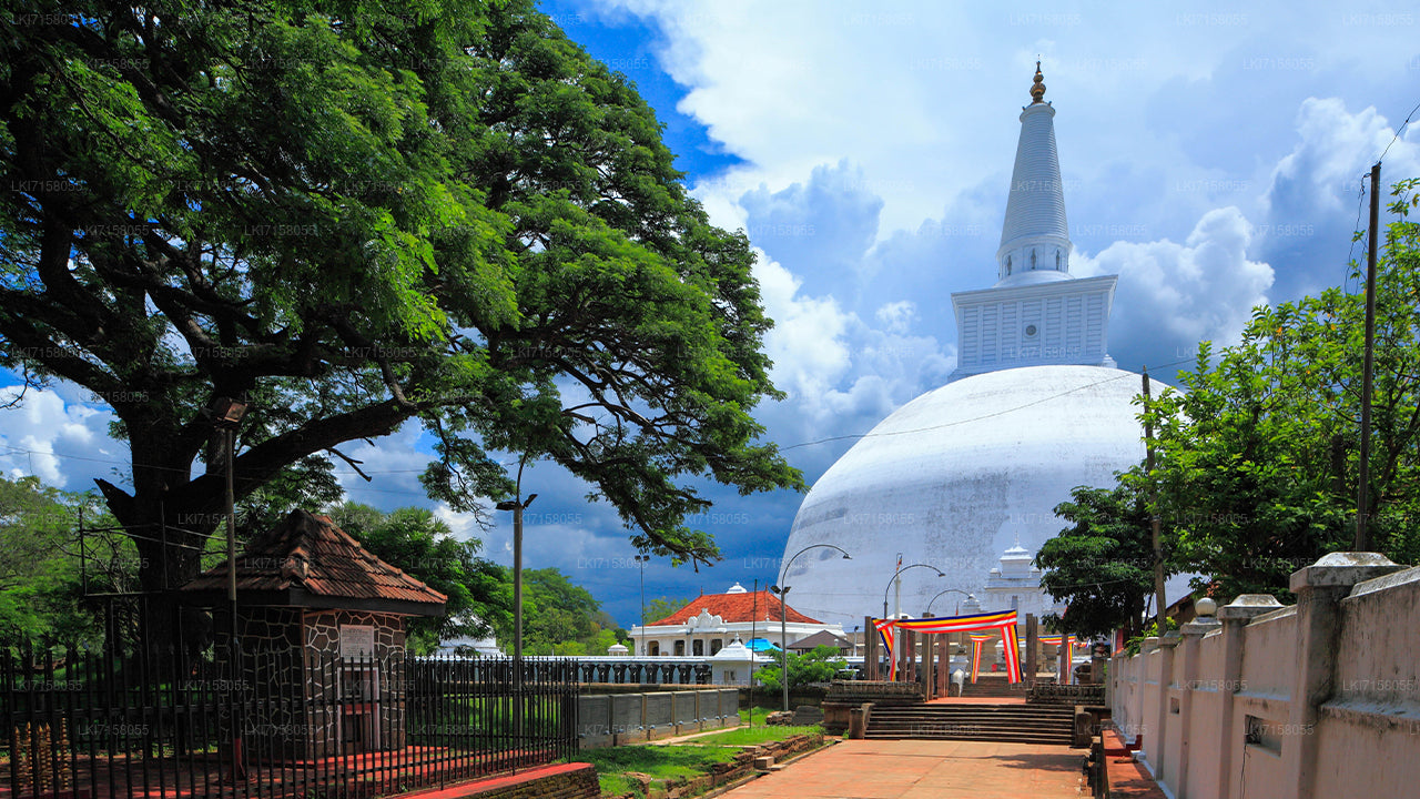 Expérience spirituelle d'Anuradhapura