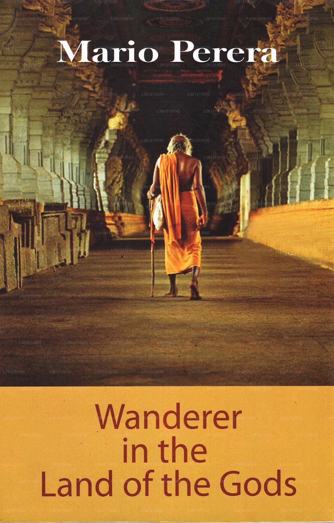 Wanderer In The Land of The Gods