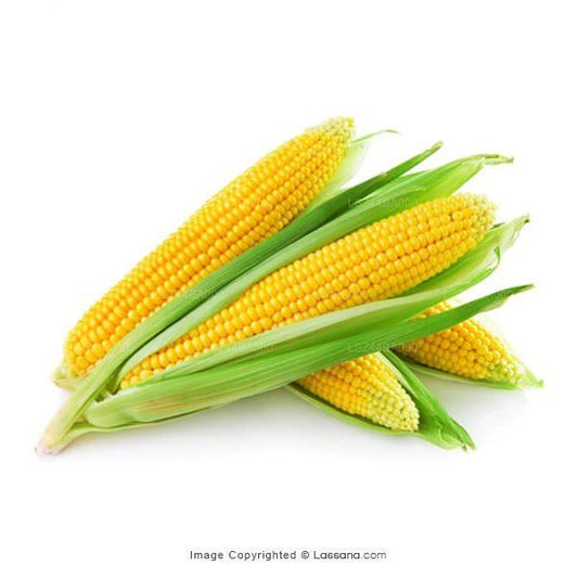 Corn 1